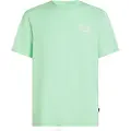 O'Neill Box Logo Kortarmet T-skjorte