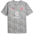 Puma AC Milan Pre-match Jersey Men, Sport, Smokey Gray/White, M