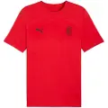 Puma AC Milan FtblEssentials Tee Men, Sport, Red/Black, M