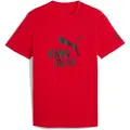 Puma AC Milan KING Logo Tee Men, Sport, Red/Black, XS