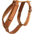 Kentucky Active Velvet Hundesele