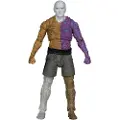 Mcfarlane Toys Superman Dc Multiverse 2025 Metamorpho-figur 17 Cm