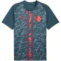 Puma FC Shakhtar Donetsk 25/26 Away Jersey Men, Sport, Gray Skies/Neon Sun, XS