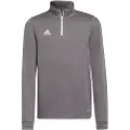 Adidas Entrada 22 Training Collegegenser