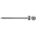 Fischertechnik Fischer 566376 PowerFast II Sekskant-træskrue 10 mm 80 mm Indvendig multitand Stål Galvaniseret 50 stk