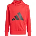 Adidas Essentials Big Logo Hettegenser