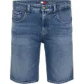 Tommy Hilfiger Dm0dm20960 Korte Jeans