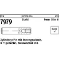 Lemvigh-Muller Ø6 m6X20 cylindrisk stift med indvendig gevind M4 - (100 stk.)