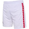 Hummel Fc Köln 23/24 Hjem Shorts