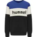 Hummel Claes Collegegenser