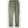 O'Neill Jogger Kids Bukse grønn