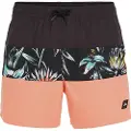 O'Neill Mix & Match Cali Block 15'' Boardshorts svart
