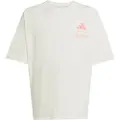 Adidas Mercedes-amg Petronas Formula One Team Summer Graphic Kortarmet T-skjorte