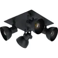 Eglo EGLOSpotlight Barnstaple 1 4-LightSvartSpotlysFra Homeroom