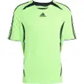Adidas Originals Teamgeist Adicolor Kortarmet T-skjorte