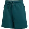 Adidas Z.n.e Shorts