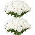 Vevor Kunstige Blomster, 60 stk. Ekte Hvite Skum Falske Roser i Bulk, Hvite Imiterte Utdrikningslag med Stilker til Gjør-det-selv Bryllupsbuketter, Hjemmedekorasjoner, Festborddekorasjoner