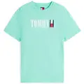 Tommy Hilfiger for man. DM0DM21941 Dna T-shirt blue (M), Casual, Cotton, Short sleeve