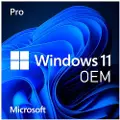 Microsoft Windows 11 Home - Lisens - 1 lisens - OEM - DVD - 64-bit - Engelsk