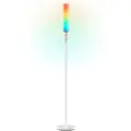 Govee RGBICWW Cylinder Floor Lamp
