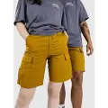 Nike Sb Kearny Shorts gul