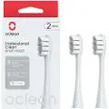 Oclean Końcówka Oclean Oclean Børstehode 2 stk Sølv P1C9
