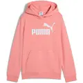 Puma Ess Nº1 Logo Hettegenser