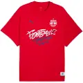 Puma HOOPS x FC RED BULL SALZBURG Tee II Men, Clothing, L