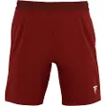Tecnifibre Team Shorts