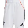 Adidas Fc Bayern 25/26 Borte Shorts