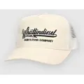 Whistlindiesel Auto Shop Caps