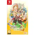 Marvelous Switch Rune Factory 3 Special