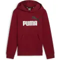 Puma Ess+ 2 Col Big Logo Hettegenser