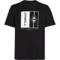 O'Neill Mix&match Palm Kortarmet T-skjorte