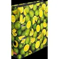 Herlitz maX.file - Hevarmbuefil - bokryggbredde: 80 mm - for A4 - limedesign