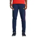 Puma Portugal Casuals Pants Men, Clothing, Persian Blue/Sunny Yellow, XL