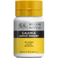 Winsor & Newton Galeria, 250 ml, Pot