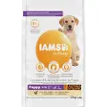 IAMS Advanced Nutrition Puppy Large med kylling - 12 kg