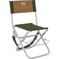 Shakespeare Folding With Rod Rest Stol