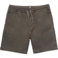 Volcom Bb Frickin Elastic Kids Shorts grå