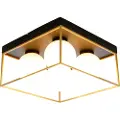 Aneta Lighting Aneta LightingPlafond ASTROSvartPlafonderFra Homeroom