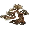 4FISH Trærødder, Bonsai, 40x20x30 cm