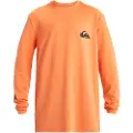 Quiksilver Everyday Surf Utslettsdrakt Med Lange Ermer