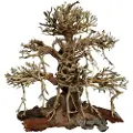 4FISH Trærødder, Old Bonsai, 30x15x30 cm