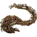 4FISH Trærødder, Dragonhead, 30x13x23 cm
