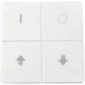 Light Solutions Lightbee Zigbee key with icons