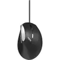 Rapoo Ergonomisk Mus EV200 USB Svart