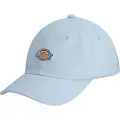 Dickies Hardwick Cap