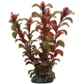 Usorteret Dohse Rotala, 16 cm