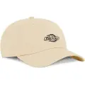 Dickies Essential Dad Cap